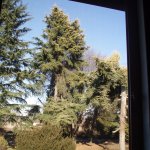 Zanzariere a rullo laterale/verticale